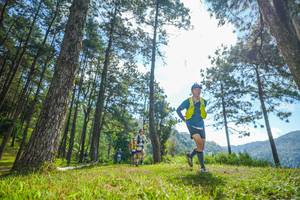 BIB: 
                            <button type="button" onclick="openModal(19282376)" class="btn btn-primary btn-sm float-right btn-popup" data-toggle="modal" data-target=".modal-high-quality">
                        <i class="fas fa-shopping-cart"></i> Add to Cart
                    </button>
                                            <button type="button" onclick="isThisMe(19282376, true)" class="btn btn-success btn-sm float-right btn-popup btn-isme hidden" data-toggle="tooltip" data-placement="bottom" title="นี่คือรูปของคุณใช่ไหม คลิกที่นี่เพื่อเอาเข้าอัลบั้ม">
                        <i class="fas fa-plus"></i> Add to album
                    </button>
                    <button type="button" onclick="isThisMe(19282376, false)" class="btn btn-warning btn-sm float-right btn-popup btn-isnotme hidden">
                        <i class="fas fa-ban"></i> Remove from album
                    </button>