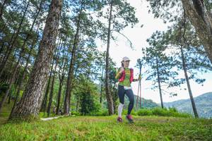 BIB: 
                            <button type="button" onclick="openModal(19288096)" class="btn btn-primary btn-sm float-right btn-popup" data-toggle="modal" data-target=".modal-high-quality">
                        <i class="fas fa-shopping-cart"></i> Add to Cart
                    </button>
                                            <button type="button" onclick="isThisMe(19288096, true)" class="btn btn-success btn-sm float-right btn-popup btn-isme hidden" data-toggle="tooltip" data-placement="bottom" title="นี่คือรูปของคุณใช่ไหม คลิกที่นี่เพื่อเอาเข้าอัลบั้ม">
                        <i class="fas fa-plus"></i> Add to album
                    </button>
                    <button type="button" onclick="isThisMe(19288096, false)" class="btn btn-warning btn-sm float-right btn-popup btn-isnotme hidden">
                        <i class="fas fa-ban"></i> Remove from album
                    </button>