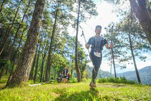 BIB: 
                            <button type="button" onclick="openModal(19287146)" class="btn btn-primary btn-sm float-right btn-popup" data-toggle="modal" data-target=".modal-high-quality">
                        <i class="fas fa-shopping-cart"></i> Add to Cart
                    </button>
                                            <button type="button" onclick="isThisMe(19287146, true)" class="btn btn-success btn-sm float-right btn-popup btn-isme hidden" data-toggle="tooltip" data-placement="bottom" title="นี่คือรูปของคุณใช่ไหม คลิกที่นี่เพื่อเอาเข้าอัลบั้ม">
                        <i class="fas fa-plus"></i> Add to album
                    </button>
                    <button type="button" onclick="isThisMe(19287146, false)" class="btn btn-warning btn-sm float-right btn-popup btn-isnotme hidden">
                        <i class="fas fa-ban"></i> Remove from album
                    </button>