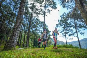 BIB: 
                            <button type="button" onclick="openModal(19281316)" class="btn btn-primary btn-sm float-right btn-popup" data-toggle="modal" data-target=".modal-high-quality">
                        <i class="fas fa-shopping-cart"></i> Add to Cart
                    </button>
                                            <button type="button" onclick="isThisMe(19281316, true)" class="btn btn-success btn-sm float-right btn-popup btn-isme hidden" data-toggle="tooltip" data-placement="bottom" title="นี่คือรูปของคุณใช่ไหม คลิกที่นี่เพื่อเอาเข้าอัลบั้ม">
                        <i class="fas fa-plus"></i> Add to album
                    </button>
                    <button type="button" onclick="isThisMe(19281316, false)" class="btn btn-warning btn-sm float-right btn-popup btn-isnotme hidden">
                        <i class="fas fa-ban"></i> Remove from album
                    </button>