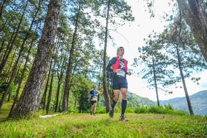 BIB: 
                            <button type="button" onclick="openModal(19288708)" class="btn btn-primary btn-sm float-right btn-popup" data-toggle="modal" data-target=".modal-high-quality">
                        <i class="fas fa-shopping-cart"></i> Add to Cart
                    </button>
                                            <button type="button" onclick="isThisMe(19288708, true)" class="btn btn-success btn-sm float-right btn-popup btn-isme hidden" data-toggle="tooltip" data-placement="bottom" title="นี่คือรูปของคุณใช่ไหม คลิกที่นี่เพื่อเอาเข้าอัลบั้ม">
                        <i class="fas fa-plus"></i> Add to album
                    </button>
                    <button type="button" onclick="isThisMe(19288708, false)" class="btn btn-warning btn-sm float-right btn-popup btn-isnotme hidden">
                        <i class="fas fa-ban"></i> Remove from album
                    </button>