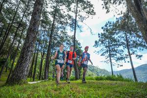 BIB: 
                            <button type="button" onclick="openModal(19285977)" class="btn btn-primary btn-sm float-right btn-popup" data-toggle="modal" data-target=".modal-high-quality">
                        <i class="fas fa-shopping-cart"></i> Add to Cart
                    </button>
                                            <button type="button" onclick="isThisMe(19285977, true)" class="btn btn-success btn-sm float-right btn-popup btn-isme hidden" data-toggle="tooltip" data-placement="bottom" title="นี่คือรูปของคุณใช่ไหม คลิกที่นี่เพื่อเอาเข้าอัลบั้ม">
                        <i class="fas fa-plus"></i> Add to album
                    </button>
                    <button type="button" onclick="isThisMe(19285977, false)" class="btn btn-warning btn-sm float-right btn-popup btn-isnotme hidden">
                        <i class="fas fa-ban"></i> Remove from album
                    </button>