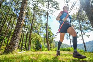 BIB: 
                            <button type="button" onclick="openModal(19290636)" class="btn btn-primary btn-sm float-right btn-popup" data-toggle="modal" data-target=".modal-high-quality">
                        <i class="fas fa-shopping-cart"></i> Add to Cart
                    </button>
                                            <button type="button" onclick="isThisMe(19290636, true)" class="btn btn-success btn-sm float-right btn-popup btn-isme hidden" data-toggle="tooltip" data-placement="bottom" title="นี่คือรูปของคุณใช่ไหม คลิกที่นี่เพื่อเอาเข้าอัลบั้ม">
                        <i class="fas fa-plus"></i> Add to album
                    </button>
                    <button type="button" onclick="isThisMe(19290636, false)" class="btn btn-warning btn-sm float-right btn-popup btn-isnotme hidden">
                        <i class="fas fa-ban"></i> Remove from album
                    </button>