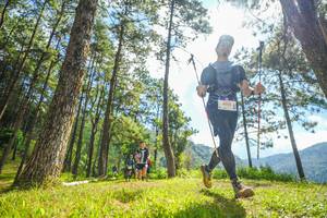 BIB: 6055
                            <button type="button" onclick="openModal(19287149)" class="btn btn-primary btn-sm float-right btn-popup" data-toggle="modal" data-target=".modal-high-quality">
                        <i class="fas fa-shopping-cart"></i> Add to Cart
                    </button>
                                            <button type="button" onclick="isThisMe(19287149, true)" class="btn btn-success btn-sm float-right btn-popup btn-isme hidden" data-toggle="tooltip" data-placement="bottom" title="นี่คือรูปของคุณใช่ไหม คลิกที่นี่เพื่อเอาเข้าอัลบั้ม">
                        <i class="fas fa-plus"></i> Add to album
                    </button>
                    <button type="button" onclick="isThisMe(19287149, false)" class="btn btn-warning btn-sm float-right btn-popup btn-isnotme hidden">
                        <i class="fas fa-ban"></i> Remove from album
                    </button>