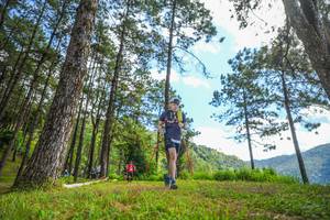 BIB: 
                            <button type="button" onclick="openModal(19291010)" class="btn btn-primary btn-sm float-right btn-popup" data-toggle="modal" data-target=".modal-high-quality">
                        <i class="fas fa-shopping-cart"></i> Add to Cart
                    </button>
                                            <button type="button" onclick="isThisMe(19291010, true)" class="btn btn-success btn-sm float-right btn-popup btn-isme hidden" data-toggle="tooltip" data-placement="bottom" title="นี่คือรูปของคุณใช่ไหม คลิกที่นี่เพื่อเอาเข้าอัลบั้ม">
                        <i class="fas fa-plus"></i> Add to album
                    </button>
                    <button type="button" onclick="isThisMe(19291010, false)" class="btn btn-warning btn-sm float-right btn-popup btn-isnotme hidden">
                        <i class="fas fa-ban"></i> Remove from album
                    </button>