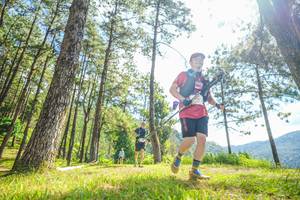 BIB: 
                            <button type="button" onclick="openModal(19288766)" class="btn btn-primary btn-sm float-right btn-popup" data-toggle="modal" data-target=".modal-high-quality">
                        <i class="fas fa-shopping-cart"></i> Add to Cart
                    </button>
                                            <button type="button" onclick="isThisMe(19288766, true)" class="btn btn-success btn-sm float-right btn-popup btn-isme hidden" data-toggle="tooltip" data-placement="bottom" title="นี่คือรูปของคุณใช่ไหม คลิกที่นี่เพื่อเอาเข้าอัลบั้ม">
                        <i class="fas fa-plus"></i> Add to album
                    </button>
                    <button type="button" onclick="isThisMe(19288766, false)" class="btn btn-warning btn-sm float-right btn-popup btn-isnotme hidden">
                        <i class="fas fa-ban"></i> Remove from album
                    </button>