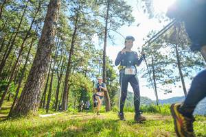 BIB: 
                            <button type="button" onclick="openModal(19290376)" class="btn btn-primary btn-sm float-right btn-popup" data-toggle="modal" data-target=".modal-high-quality">
                        <i class="fas fa-shopping-cart"></i> Add to Cart
                    </button>
                                            <button type="button" onclick="isThisMe(19290376, true)" class="btn btn-success btn-sm float-right btn-popup btn-isme hidden" data-toggle="tooltip" data-placement="bottom" title="นี่คือรูปของคุณใช่ไหม คลิกที่นี่เพื่อเอาเข้าอัลบั้ม">
                        <i class="fas fa-plus"></i> Add to album
                    </button>
                    <button type="button" onclick="isThisMe(19290376, false)" class="btn btn-warning btn-sm float-right btn-popup btn-isnotme hidden">
                        <i class="fas fa-ban"></i> Remove from album
                    </button>