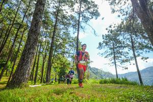 BIB: 
                            <button type="button" onclick="openModal(19286740)" class="btn btn-primary btn-sm float-right btn-popup" data-toggle="modal" data-target=".modal-high-quality">
                        <i class="fas fa-shopping-cart"></i> Add to Cart
                    </button>
                                            <button type="button" onclick="isThisMe(19286740, true)" class="btn btn-success btn-sm float-right btn-popup btn-isme hidden" data-toggle="tooltip" data-placement="bottom" title="นี่คือรูปของคุณใช่ไหม คลิกที่นี่เพื่อเอาเข้าอัลบั้ม">
                        <i class="fas fa-plus"></i> Add to album
                    </button>
                    <button type="button" onclick="isThisMe(19286740, false)" class="btn btn-warning btn-sm float-right btn-popup btn-isnotme hidden">
                        <i class="fas fa-ban"></i> Remove from album
                    </button>