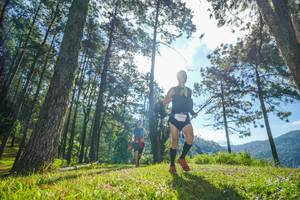 BIB: 199
                            <button type="button" onclick="openModal(19280554)" class="btn btn-primary btn-sm float-right btn-popup" data-toggle="modal" data-target=".modal-high-quality">
                        <i class="fas fa-shopping-cart"></i> Add to Cart
                    </button>
                                            <button type="button" onclick="isThisMe(19280554, true)" class="btn btn-success btn-sm float-right btn-popup btn-isme hidden" data-toggle="tooltip" data-placement="bottom" title="นี่คือรูปของคุณใช่ไหม คลิกที่นี่เพื่อเอาเข้าอัลบั้ม">
                        <i class="fas fa-plus"></i> Add to album
                    </button>
                    <button type="button" onclick="isThisMe(19280554, false)" class="btn btn-warning btn-sm float-right btn-popup btn-isnotme hidden">
                        <i class="fas fa-ban"></i> Remove from album
                    </button>