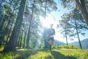 BIB: 
                            <button type="button" onclick="openModal(19279626)" class="btn btn-primary btn-sm float-right btn-popup" data-toggle="modal" data-target=".modal-high-quality">
                        <i class="fas fa-shopping-cart"></i> Add to Cart
                    </button>
                                            <button type="button" onclick="isThisMe(19279626, true)" class="btn btn-success btn-sm float-right btn-popup btn-isme hidden" data-toggle="tooltip" data-placement="bottom" title="นี่คือรูปของคุณใช่ไหม คลิกที่นี่เพื่อเอาเข้าอัลบั้ม">
                        <i class="fas fa-plus"></i> Add to album
                    </button>
                    <button type="button" onclick="isThisMe(19279626, false)" class="btn btn-warning btn-sm float-right btn-popup btn-isnotme hidden">
                        <i class="fas fa-ban"></i> Remove from album
                    </button>