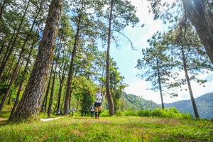 BIB: 
                            <button type="button" onclick="openModal(19290759)" class="btn btn-primary btn-sm float-right btn-popup" data-toggle="modal" data-target=".modal-high-quality">
                        <i class="fas fa-shopping-cart"></i> Add to Cart
                    </button>
                                            <button type="button" onclick="isThisMe(19290759, true)" class="btn btn-success btn-sm float-right btn-popup btn-isme hidden" data-toggle="tooltip" data-placement="bottom" title="นี่คือรูปของคุณใช่ไหม คลิกที่นี่เพื่อเอาเข้าอัลบั้ม">
                        <i class="fas fa-plus"></i> Add to album
                    </button>
                    <button type="button" onclick="isThisMe(19290759, false)" class="btn btn-warning btn-sm float-right btn-popup btn-isnotme hidden">
                        <i class="fas fa-ban"></i> Remove from album
                    </button>