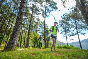 BIB: 
                            <button type="button" onclick="openModal(19289946)" class="btn btn-primary btn-sm float-right btn-popup" data-toggle="modal" data-target=".modal-high-quality">
                        <i class="fas fa-shopping-cart"></i> Add to Cart
                    </button>
                                            <button type="button" onclick="isThisMe(19289946, true)" class="btn btn-success btn-sm float-right btn-popup btn-isme hidden" data-toggle="tooltip" data-placement="bottom" title="นี่คือรูปของคุณใช่ไหม คลิกที่นี่เพื่อเอาเข้าอัลบั้ม">
                        <i class="fas fa-plus"></i> Add to album
                    </button>
                    <button type="button" onclick="isThisMe(19289946, false)" class="btn btn-warning btn-sm float-right btn-popup btn-isnotme hidden">
                        <i class="fas fa-ban"></i> Remove from album
                    </button>