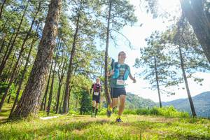 BIB: 
                            <button type="button" onclick="openModal(19290591)" class="btn btn-primary btn-sm float-right btn-popup" data-toggle="modal" data-target=".modal-high-quality">
                        <i class="fas fa-shopping-cart"></i> Add to Cart
                    </button>
                                            <button type="button" onclick="isThisMe(19290591, true)" class="btn btn-success btn-sm float-right btn-popup btn-isme hidden" data-toggle="tooltip" data-placement="bottom" title="นี่คือรูปของคุณใช่ไหม คลิกที่นี่เพื่อเอาเข้าอัลบั้ม">
                        <i class="fas fa-plus"></i> Add to album
                    </button>
                    <button type="button" onclick="isThisMe(19290591, false)" class="btn btn-warning btn-sm float-right btn-popup btn-isnotme hidden">
                        <i class="fas fa-ban"></i> Remove from album
                    </button>