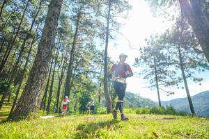 BIB: 
                            <button type="button" onclick="openModal(19284832)" class="btn btn-primary btn-sm float-right btn-popup" data-toggle="modal" data-target=".modal-high-quality">
                        <i class="fas fa-shopping-cart"></i> Add to Cart
                    </button>
                                            <button type="button" onclick="isThisMe(19284832, true)" class="btn btn-success btn-sm float-right btn-popup btn-isme hidden" data-toggle="tooltip" data-placement="bottom" title="นี่คือรูปของคุณใช่ไหม คลิกที่นี่เพื่อเอาเข้าอัลบั้ม">
                        <i class="fas fa-plus"></i> Add to album
                    </button>
                    <button type="button" onclick="isThisMe(19284832, false)" class="btn btn-warning btn-sm float-right btn-popup btn-isnotme hidden">
                        <i class="fas fa-ban"></i> Remove from album
                    </button>