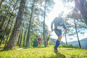 BIB: 6353
                            <button type="button" onclick="openModal(19285158)" class="btn btn-primary btn-sm float-right btn-popup" data-toggle="modal" data-target=".modal-high-quality">
                        <i class="fas fa-shopping-cart"></i> Add to Cart
                    </button>
                                            <button type="button" onclick="isThisMe(19285158, true)" class="btn btn-success btn-sm float-right btn-popup btn-isme hidden" data-toggle="tooltip" data-placement="bottom" title="นี่คือรูปของคุณใช่ไหม คลิกที่นี่เพื่อเอาเข้าอัลบั้ม">
                        <i class="fas fa-plus"></i> Add to album
                    </button>
                    <button type="button" onclick="isThisMe(19285158, false)" class="btn btn-warning btn-sm float-right btn-popup btn-isnotme hidden">
                        <i class="fas fa-ban"></i> Remove from album
                    </button>