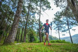 BIB: 
                            <button type="button" onclick="openModal(19287409)" class="btn btn-primary btn-sm float-right btn-popup" data-toggle="modal" data-target=".modal-high-quality">
                        <i class="fas fa-shopping-cart"></i> Add to Cart
                    </button>
                                            <button type="button" onclick="isThisMe(19287409, true)" class="btn btn-success btn-sm float-right btn-popup btn-isme hidden" data-toggle="tooltip" data-placement="bottom" title="นี่คือรูปของคุณใช่ไหม คลิกที่นี่เพื่อเอาเข้าอัลบั้ม">
                        <i class="fas fa-plus"></i> Add to album
                    </button>
                    <button type="button" onclick="isThisMe(19287409, false)" class="btn btn-warning btn-sm float-right btn-popup btn-isnotme hidden">
                        <i class="fas fa-ban"></i> Remove from album
                    </button>