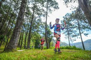 BIB: 350
                            <button type="button" onclick="openModal(19285664)" class="btn btn-primary btn-sm float-right btn-popup" data-toggle="modal" data-target=".modal-high-quality">
                        <i class="fas fa-shopping-cart"></i> Add to Cart
                    </button>
                                            <button type="button" onclick="isThisMe(19285664, true)" class="btn btn-success btn-sm float-right btn-popup btn-isme hidden" data-toggle="tooltip" data-placement="bottom" title="นี่คือรูปของคุณใช่ไหม คลิกที่นี่เพื่อเอาเข้าอัลบั้ม">
                        <i class="fas fa-plus"></i> Add to album
                    </button>
                    <button type="button" onclick="isThisMe(19285664, false)" class="btn btn-warning btn-sm float-right btn-popup btn-isnotme hidden">
                        <i class="fas fa-ban"></i> Remove from album
                    </button>