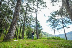 BIB: 
                            <button type="button" onclick="openModal(19288593)" class="btn btn-primary btn-sm float-right btn-popup" data-toggle="modal" data-target=".modal-high-quality">
                        <i class="fas fa-shopping-cart"></i> Add to Cart
                    </button>
                                            <button type="button" onclick="isThisMe(19288593, true)" class="btn btn-success btn-sm float-right btn-popup btn-isme hidden" data-toggle="tooltip" data-placement="bottom" title="นี่คือรูปของคุณใช่ไหม คลิกที่นี่เพื่อเอาเข้าอัลบั้ม">
                        <i class="fas fa-plus"></i> Add to album
                    </button>
                    <button type="button" onclick="isThisMe(19288593, false)" class="btn btn-warning btn-sm float-right btn-popup btn-isnotme hidden">
                        <i class="fas fa-ban"></i> Remove from album
                    </button>