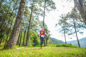 BIB: 
                            <button type="button" onclick="openModal(19288213)" class="btn btn-primary btn-sm float-right btn-popup" data-toggle="modal" data-target=".modal-high-quality">
                        <i class="fas fa-shopping-cart"></i> Add to Cart
                    </button>
                                            <button type="button" onclick="isThisMe(19288213, true)" class="btn btn-success btn-sm float-right btn-popup btn-isme hidden" data-toggle="tooltip" data-placement="bottom" title="นี่คือรูปของคุณใช่ไหม คลิกที่นี่เพื่อเอาเข้าอัลบั้ม">
                        <i class="fas fa-plus"></i> Add to album
                    </button>
                    <button type="button" onclick="isThisMe(19288213, false)" class="btn btn-warning btn-sm float-right btn-popup btn-isnotme hidden">
                        <i class="fas fa-ban"></i> Remove from album
                    </button>