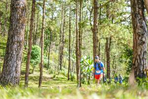 BIB: 
                            <button type="button" onclick="openModal(19292568)" class="btn btn-primary btn-sm float-right btn-popup" data-toggle="modal" data-target=".modal-high-quality">
                        <i class="fas fa-shopping-cart"></i> Add to Cart
                    </button>
                                            <button type="button" onclick="isThisMe(19292568, true)" class="btn btn-success btn-sm float-right btn-popup btn-isme hidden" data-toggle="tooltip" data-placement="bottom" title="นี่คือรูปของคุณใช่ไหม คลิกที่นี่เพื่อเอาเข้าอัลบั้ม">
                        <i class="fas fa-plus"></i> Add to album
                    </button>
                    <button type="button" onclick="isThisMe(19292568, false)" class="btn btn-warning btn-sm float-right btn-popup btn-isnotme hidden">
                        <i class="fas fa-ban"></i> Remove from album
                    </button>