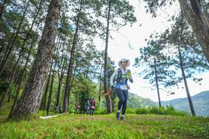 BIB: 
                            <button type="button" onclick="openModal(19288641)" class="btn btn-primary btn-sm float-right btn-popup" data-toggle="modal" data-target=".modal-high-quality">
                        <i class="fas fa-shopping-cart"></i> Add to Cart
                    </button>
                                            <button type="button" onclick="isThisMe(19288641, true)" class="btn btn-success btn-sm float-right btn-popup btn-isme hidden" data-toggle="tooltip" data-placement="bottom" title="นี่คือรูปของคุณใช่ไหม คลิกที่นี่เพื่อเอาเข้าอัลบั้ม">
                        <i class="fas fa-plus"></i> Add to album
                    </button>
                    <button type="button" onclick="isThisMe(19288641, false)" class="btn btn-warning btn-sm float-right btn-popup btn-isnotme hidden">
                        <i class="fas fa-ban"></i> Remove from album
                    </button>