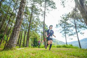 BIB: 
                            <button type="button" onclick="openModal(19288493)" class="btn btn-primary btn-sm float-right btn-popup" data-toggle="modal" data-target=".modal-high-quality">
                        <i class="fas fa-shopping-cart"></i> Add to Cart
                    </button>
                                            <button type="button" onclick="isThisMe(19288493, true)" class="btn btn-success btn-sm float-right btn-popup btn-isme hidden" data-toggle="tooltip" data-placement="bottom" title="นี่คือรูปของคุณใช่ไหม คลิกที่นี่เพื่อเอาเข้าอัลบั้ม">
                        <i class="fas fa-plus"></i> Add to album
                    </button>
                    <button type="button" onclick="isThisMe(19288493, false)" class="btn btn-warning btn-sm float-right btn-popup btn-isnotme hidden">
                        <i class="fas fa-ban"></i> Remove from album
                    </button>