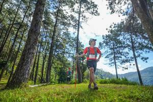 BIB: 
                            <button type="button" onclick="openModal(19282019)" class="btn btn-primary btn-sm float-right btn-popup" data-toggle="modal" data-target=".modal-high-quality">
                        <i class="fas fa-shopping-cart"></i> Add to Cart
                    </button>
                                            <button type="button" onclick="isThisMe(19282019, true)" class="btn btn-success btn-sm float-right btn-popup btn-isme hidden" data-toggle="tooltip" data-placement="bottom" title="นี่คือรูปของคุณใช่ไหม คลิกที่นี่เพื่อเอาเข้าอัลบั้ม">
                        <i class="fas fa-plus"></i> Add to album
                    </button>
                    <button type="button" onclick="isThisMe(19282019, false)" class="btn btn-warning btn-sm float-right btn-popup btn-isnotme hidden">
                        <i class="fas fa-ban"></i> Remove from album
                    </button>