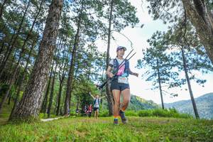 BIB: 
                            <button type="button" onclick="openModal(19288013)" class="btn btn-primary btn-sm float-right btn-popup" data-toggle="modal" data-target=".modal-high-quality">
                        <i class="fas fa-shopping-cart"></i> Add to Cart
                    </button>
                                            <button type="button" onclick="isThisMe(19288013, true)" class="btn btn-success btn-sm float-right btn-popup btn-isme hidden" data-toggle="tooltip" data-placement="bottom" title="นี่คือรูปของคุณใช่ไหม คลิกที่นี่เพื่อเอาเข้าอัลบั้ม">
                        <i class="fas fa-plus"></i> Add to album
                    </button>
                    <button type="button" onclick="isThisMe(19288013, false)" class="btn btn-warning btn-sm float-right btn-popup btn-isnotme hidden">
                        <i class="fas fa-ban"></i> Remove from album
                    </button>