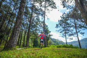 BIB: 
                            <button type="button" onclick="openModal(19281863)" class="btn btn-primary btn-sm float-right btn-popup" data-toggle="modal" data-target=".modal-high-quality">
                        <i class="fas fa-shopping-cart"></i> Add to Cart
                    </button>
                                            <button type="button" onclick="isThisMe(19281863, true)" class="btn btn-success btn-sm float-right btn-popup btn-isme hidden" data-toggle="tooltip" data-placement="bottom" title="นี่คือรูปของคุณใช่ไหม คลิกที่นี่เพื่อเอาเข้าอัลบั้ม">
                        <i class="fas fa-plus"></i> Add to album
                    </button>
                    <button type="button" onclick="isThisMe(19281863, false)" class="btn btn-warning btn-sm float-right btn-popup btn-isnotme hidden">
                        <i class="fas fa-ban"></i> Remove from album
                    </button>