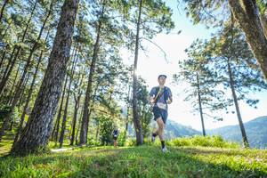 BIB: 
                            <button type="button" onclick="openModal(19279341)" class="btn btn-primary btn-sm float-right btn-popup" data-toggle="modal" data-target=".modal-high-quality">
                        <i class="fas fa-shopping-cart"></i> Add to Cart
                    </button>
                                            <button type="button" onclick="isThisMe(19279341, true)" class="btn btn-success btn-sm float-right btn-popup btn-isme hidden" data-toggle="tooltip" data-placement="bottom" title="นี่คือรูปของคุณใช่ไหม คลิกที่นี่เพื่อเอาเข้าอัลบั้ม">
                        <i class="fas fa-plus"></i> Add to album
                    </button>
                    <button type="button" onclick="isThisMe(19279341, false)" class="btn btn-warning btn-sm float-right btn-popup btn-isnotme hidden">
                        <i class="fas fa-ban"></i> Remove from album
                    </button>