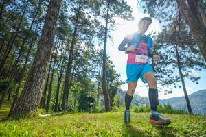 BIB: 5007
                            <button type="button" onclick="openModal(19282441)" class="btn btn-primary btn-sm float-right btn-popup" data-toggle="modal" data-target=".modal-high-quality">
                        <i class="fas fa-shopping-cart"></i> Add to Cart
                    </button>
                                            <button type="button" onclick="isThisMe(19282441, true)" class="btn btn-success btn-sm float-right btn-popup btn-isme hidden" data-toggle="tooltip" data-placement="bottom" title="นี่คือรูปของคุณใช่ไหม คลิกที่นี่เพื่อเอาเข้าอัลบั้ม">
                        <i class="fas fa-plus"></i> Add to album
                    </button>
                    <button type="button" onclick="isThisMe(19282441, false)" class="btn btn-warning btn-sm float-right btn-popup btn-isnotme hidden">
                        <i class="fas fa-ban"></i> Remove from album
                    </button>