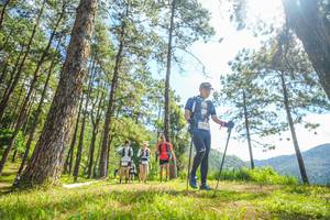 BIB: 
                            <button type="button" onclick="openModal(19290493)" class="btn btn-primary btn-sm float-right btn-popup" data-toggle="modal" data-target=".modal-high-quality">
                        <i class="fas fa-shopping-cart"></i> Add to Cart
                    </button>
                                            <button type="button" onclick="isThisMe(19290493, true)" class="btn btn-success btn-sm float-right btn-popup btn-isme hidden" data-toggle="tooltip" data-placement="bottom" title="นี่คือรูปของคุณใช่ไหม คลิกที่นี่เพื่อเอาเข้าอัลบั้ม">
                        <i class="fas fa-plus"></i> Add to album
                    </button>
                    <button type="button" onclick="isThisMe(19290493, false)" class="btn btn-warning btn-sm float-right btn-popup btn-isnotme hidden">
                        <i class="fas fa-ban"></i> Remove from album
                    </button>