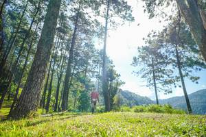 BIB: 
                            <button type="button" onclick="openModal(19280662)" class="btn btn-primary btn-sm float-right btn-popup" data-toggle="modal" data-target=".modal-high-quality">
                        <i class="fas fa-shopping-cart"></i> Add to Cart
                    </button>
                                            <button type="button" onclick="isThisMe(19280662, true)" class="btn btn-success btn-sm float-right btn-popup btn-isme hidden" data-toggle="tooltip" data-placement="bottom" title="นี่คือรูปของคุณใช่ไหม คลิกที่นี่เพื่อเอาเข้าอัลบั้ม">
                        <i class="fas fa-plus"></i> Add to album
                    </button>
                    <button type="button" onclick="isThisMe(19280662, false)" class="btn btn-warning btn-sm float-right btn-popup btn-isnotme hidden">
                        <i class="fas fa-ban"></i> Remove from album
                    </button>