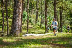 BIB: 
                            <button type="button" onclick="openModal(19291912)" class="btn btn-primary btn-sm float-right btn-popup" data-toggle="modal" data-target=".modal-high-quality">
                        <i class="fas fa-shopping-cart"></i> Add to Cart
                    </button>
                                            <button type="button" onclick="isThisMe(19291912, true)" class="btn btn-success btn-sm float-right btn-popup btn-isme hidden" data-toggle="tooltip" data-placement="bottom" title="นี่คือรูปของคุณใช่ไหม คลิกที่นี่เพื่อเอาเข้าอัลบั้ม">
                        <i class="fas fa-plus"></i> Add to album
                    </button>
                    <button type="button" onclick="isThisMe(19291912, false)" class="btn btn-warning btn-sm float-right btn-popup btn-isnotme hidden">
                        <i class="fas fa-ban"></i> Remove from album
                    </button>