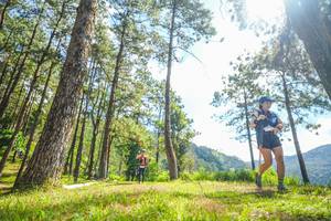 BIB: 
                            <button type="button" onclick="openModal(19290261)" class="btn btn-primary btn-sm float-right btn-popup" data-toggle="modal" data-target=".modal-high-quality">
                        <i class="fas fa-shopping-cart"></i> Add to Cart
                    </button>
                                            <button type="button" onclick="isThisMe(19290261, true)" class="btn btn-success btn-sm float-right btn-popup btn-isme hidden" data-toggle="tooltip" data-placement="bottom" title="นี่คือรูปของคุณใช่ไหม คลิกที่นี่เพื่อเอาเข้าอัลบั้ม">
                        <i class="fas fa-plus"></i> Add to album
                    </button>
                    <button type="button" onclick="isThisMe(19290261, false)" class="btn btn-warning btn-sm float-right btn-popup btn-isnotme hidden">
                        <i class="fas fa-ban"></i> Remove from album
                    </button>