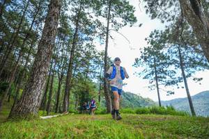 BIB: 
                            <button type="button" onclick="openModal(19287384)" class="btn btn-primary btn-sm float-right btn-popup" data-toggle="modal" data-target=".modal-high-quality">
                        <i class="fas fa-shopping-cart"></i> Add to Cart
                    </button>
                                            <button type="button" onclick="isThisMe(19287384, true)" class="btn btn-success btn-sm float-right btn-popup btn-isme hidden" data-toggle="tooltip" data-placement="bottom" title="นี่คือรูปของคุณใช่ไหม คลิกที่นี่เพื่อเอาเข้าอัลบั้ม">
                        <i class="fas fa-plus"></i> Add to album
                    </button>
                    <button type="button" onclick="isThisMe(19287384, false)" class="btn btn-warning btn-sm float-right btn-popup btn-isnotme hidden">
                        <i class="fas fa-ban"></i> Remove from album
                    </button>