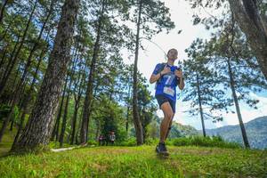 BIB: 
                            <button type="button" onclick="openModal(19287262)" class="btn btn-primary btn-sm float-right btn-popup" data-toggle="modal" data-target=".modal-high-quality">
                        <i class="fas fa-shopping-cart"></i> Add to Cart
                    </button>
                                            <button type="button" onclick="isThisMe(19287262, true)" class="btn btn-success btn-sm float-right btn-popup btn-isme hidden" data-toggle="tooltip" data-placement="bottom" title="นี่คือรูปของคุณใช่ไหม คลิกที่นี่เพื่อเอาเข้าอัลบั้ม">
                        <i class="fas fa-plus"></i> Add to album
                    </button>
                    <button type="button" onclick="isThisMe(19287262, false)" class="btn btn-warning btn-sm float-right btn-popup btn-isnotme hidden">
                        <i class="fas fa-ban"></i> Remove from album
                    </button>