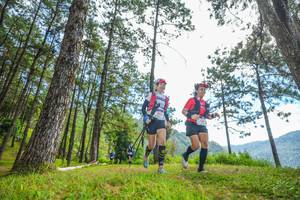 BIB: 
                            <button type="button" onclick="openModal(19287508)" class="btn btn-primary btn-sm float-right btn-popup" data-toggle="modal" data-target=".modal-high-quality">
                        <i class="fas fa-shopping-cart"></i> Add to Cart
                    </button>
                                            <button type="button" onclick="isThisMe(19287508, true)" class="btn btn-success btn-sm float-right btn-popup btn-isme hidden" data-toggle="tooltip" data-placement="bottom" title="นี่คือรูปของคุณใช่ไหม คลิกที่นี่เพื่อเอาเข้าอัลบั้ม">
                        <i class="fas fa-plus"></i> Add to album
                    </button>
                    <button type="button" onclick="isThisMe(19287508, false)" class="btn btn-warning btn-sm float-right btn-popup btn-isnotme hidden">
                        <i class="fas fa-ban"></i> Remove from album
                    </button>