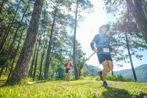 BIB: 
                            <button type="button" onclick="openModal(19282508)" class="btn btn-primary btn-sm float-right btn-popup" data-toggle="modal" data-target=".modal-high-quality">
                        <i class="fas fa-shopping-cart"></i> Add to Cart
                    </button>
                                            <button type="button" onclick="isThisMe(19282508, true)" class="btn btn-success btn-sm float-right btn-popup btn-isme hidden" data-toggle="tooltip" data-placement="bottom" title="นี่คือรูปของคุณใช่ไหม คลิกที่นี่เพื่อเอาเข้าอัลบั้ม">
                        <i class="fas fa-plus"></i> Add to album
                    </button>
                    <button type="button" onclick="isThisMe(19282508, false)" class="btn btn-warning btn-sm float-right btn-popup btn-isnotme hidden">
                        <i class="fas fa-ban"></i> Remove from album
                    </button>