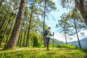 BIB: 
                            <button type="button" onclick="openModal(19291418)" class="btn btn-primary btn-sm float-right btn-popup" data-toggle="modal" data-target=".modal-high-quality">
                        <i class="fas fa-shopping-cart"></i> Add to Cart
                    </button>
                                            <button type="button" onclick="isThisMe(19291418, true)" class="btn btn-success btn-sm float-right btn-popup btn-isme hidden" data-toggle="tooltip" data-placement="bottom" title="นี่คือรูปของคุณใช่ไหม คลิกที่นี่เพื่อเอาเข้าอัลบั้ม">
                        <i class="fas fa-plus"></i> Add to album
                    </button>
                    <button type="button" onclick="isThisMe(19291418, false)" class="btn btn-warning btn-sm float-right btn-popup btn-isnotme hidden">
                        <i class="fas fa-ban"></i> Remove from album
                    </button>