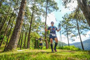 BIB: 4017
                            <button type="button" onclick="openModal(19291334)" class="btn btn-primary btn-sm float-right btn-popup" data-toggle="modal" data-target=".modal-high-quality">
                        <i class="fas fa-shopping-cart"></i> Add to Cart
                    </button>
                                            <button type="button" onclick="isThisMe(19291334, true)" class="btn btn-success btn-sm float-right btn-popup btn-isme hidden" data-toggle="tooltip" data-placement="bottom" title="นี่คือรูปของคุณใช่ไหม คลิกที่นี่เพื่อเอาเข้าอัลบั้ม">
                        <i class="fas fa-plus"></i> Add to album
                    </button>
                    <button type="button" onclick="isThisMe(19291334, false)" class="btn btn-warning btn-sm float-right btn-popup btn-isnotme hidden">
                        <i class="fas fa-ban"></i> Remove from album
                    </button>