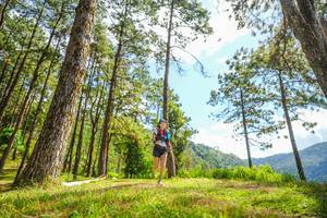 BIB: 
                            <button type="button" onclick="openModal(19291473)" class="btn btn-primary btn-sm float-right btn-popup" data-toggle="modal" data-target=".modal-high-quality">
                        <i class="fas fa-shopping-cart"></i> Add to Cart
                    </button>
                                            <button type="button" onclick="isThisMe(19291473, true)" class="btn btn-success btn-sm float-right btn-popup btn-isme hidden" data-toggle="tooltip" data-placement="bottom" title="นี่คือรูปของคุณใช่ไหม คลิกที่นี่เพื่อเอาเข้าอัลบั้ม">
                        <i class="fas fa-plus"></i> Add to album
                    </button>
                    <button type="button" onclick="isThisMe(19291473, false)" class="btn btn-warning btn-sm float-right btn-popup btn-isnotme hidden">
                        <i class="fas fa-ban"></i> Remove from album
                    </button>