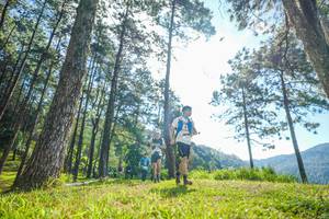 BIB: 
                            <button type="button" onclick="openModal(19281033)" class="btn btn-primary btn-sm float-right btn-popup" data-toggle="modal" data-target=".modal-high-quality">
                        <i class="fas fa-shopping-cart"></i> Add to Cart
                    </button>
                                            <button type="button" onclick="isThisMe(19281033, true)" class="btn btn-success btn-sm float-right btn-popup btn-isme hidden" data-toggle="tooltip" data-placement="bottom" title="นี่คือรูปของคุณใช่ไหม คลิกที่นี่เพื่อเอาเข้าอัลบั้ม">
                        <i class="fas fa-plus"></i> Add to album
                    </button>
                    <button type="button" onclick="isThisMe(19281033, false)" class="btn btn-warning btn-sm float-right btn-popup btn-isnotme hidden">
                        <i class="fas fa-ban"></i> Remove from album
                    </button>