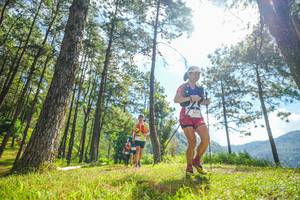 BIB: 
                            <button type="button" onclick="openModal(19286699)" class="btn btn-primary btn-sm float-right btn-popup" data-toggle="modal" data-target=".modal-high-quality">
                        <i class="fas fa-shopping-cart"></i> Add to Cart
                    </button>
                                            <button type="button" onclick="isThisMe(19286699, true)" class="btn btn-success btn-sm float-right btn-popup btn-isme hidden" data-toggle="tooltip" data-placement="bottom" title="นี่คือรูปของคุณใช่ไหม คลิกที่นี่เพื่อเอาเข้าอัลบั้ม">
                        <i class="fas fa-plus"></i> Add to album
                    </button>
                    <button type="button" onclick="isThisMe(19286699, false)" class="btn btn-warning btn-sm float-right btn-popup btn-isnotme hidden">
                        <i class="fas fa-ban"></i> Remove from album
                    </button>