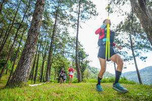 BIB: 
                            <button type="button" onclick="openModal(19288286)" class="btn btn-primary btn-sm float-right btn-popup" data-toggle="modal" data-target=".modal-high-quality">
                        <i class="fas fa-shopping-cart"></i> Add to Cart
                    </button>
                                            <button type="button" onclick="isThisMe(19288286, true)" class="btn btn-success btn-sm float-right btn-popup btn-isme hidden" data-toggle="tooltip" data-placement="bottom" title="นี่คือรูปของคุณใช่ไหม คลิกที่นี่เพื่อเอาเข้าอัลบั้ม">
                        <i class="fas fa-plus"></i> Add to album
                    </button>
                    <button type="button" onclick="isThisMe(19288286, false)" class="btn btn-warning btn-sm float-right btn-popup btn-isnotme hidden">
                        <i class="fas fa-ban"></i> Remove from album
                    </button>