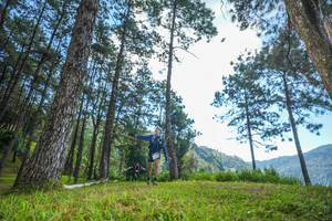 BIB: 
                            <button type="button" onclick="openModal(19280989)" class="btn btn-primary btn-sm float-right btn-popup" data-toggle="modal" data-target=".modal-high-quality">
                        <i class="fas fa-shopping-cart"></i> Add to Cart
                    </button>
                                            <button type="button" onclick="isThisMe(19280989, true)" class="btn btn-success btn-sm float-right btn-popup btn-isme hidden" data-toggle="tooltip" data-placement="bottom" title="นี่คือรูปของคุณใช่ไหม คลิกที่นี่เพื่อเอาเข้าอัลบั้ม">
                        <i class="fas fa-plus"></i> Add to album
                    </button>
                    <button type="button" onclick="isThisMe(19280989, false)" class="btn btn-warning btn-sm float-right btn-popup btn-isnotme hidden">
                        <i class="fas fa-ban"></i> Remove from album
                    </button>