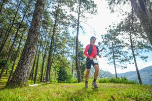 BIB: 
                            <button type="button" onclick="openModal(19284219)" class="btn btn-primary btn-sm float-right btn-popup" data-toggle="modal" data-target=".modal-high-quality">
                        <i class="fas fa-shopping-cart"></i> Add to Cart
                    </button>
                                            <button type="button" onclick="isThisMe(19284219, true)" class="btn btn-success btn-sm float-right btn-popup btn-isme hidden" data-toggle="tooltip" data-placement="bottom" title="นี่คือรูปของคุณใช่ไหม คลิกที่นี่เพื่อเอาเข้าอัลบั้ม">
                        <i class="fas fa-plus"></i> Add to album
                    </button>
                    <button type="button" onclick="isThisMe(19284219, false)" class="btn btn-warning btn-sm float-right btn-popup btn-isnotme hidden">
                        <i class="fas fa-ban"></i> Remove from album
                    </button>