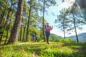 BIB: 
                            <button type="button" onclick="openModal(19291624)" class="btn btn-primary btn-sm float-right btn-popup" data-toggle="modal" data-target=".modal-high-quality">
                        <i class="fas fa-shopping-cart"></i> Add to Cart
                    </button>
                                            <button type="button" onclick="isThisMe(19291624, true)" class="btn btn-success btn-sm float-right btn-popup btn-isme hidden" data-toggle="tooltip" data-placement="bottom" title="นี่คือรูปของคุณใช่ไหม คลิกที่นี่เพื่อเอาเข้าอัลบั้ม">
                        <i class="fas fa-plus"></i> Add to album
                    </button>
                    <button type="button" onclick="isThisMe(19291624, false)" class="btn btn-warning btn-sm float-right btn-popup btn-isnotme hidden">
                        <i class="fas fa-ban"></i> Remove from album
                    </button>