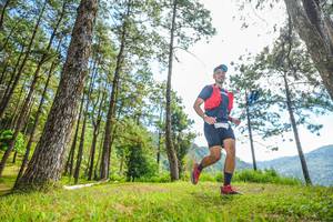 BIB: 
                            <button type="button" onclick="openModal(19288247)" class="btn btn-primary btn-sm float-right btn-popup" data-toggle="modal" data-target=".modal-high-quality">
                        <i class="fas fa-shopping-cart"></i> Add to Cart
                    </button>
                                            <button type="button" onclick="isThisMe(19288247, true)" class="btn btn-success btn-sm float-right btn-popup btn-isme hidden" data-toggle="tooltip" data-placement="bottom" title="นี่คือรูปของคุณใช่ไหม คลิกที่นี่เพื่อเอาเข้าอัลบั้ม">
                        <i class="fas fa-plus"></i> Add to album
                    </button>
                    <button type="button" onclick="isThisMe(19288247, false)" class="btn btn-warning btn-sm float-right btn-popup btn-isnotme hidden">
                        <i class="fas fa-ban"></i> Remove from album
                    </button>