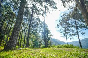 BIB: 
                            <button type="button" onclick="openModal(19280249)" class="btn btn-primary btn-sm float-right btn-popup" data-toggle="modal" data-target=".modal-high-quality">
                        <i class="fas fa-shopping-cart"></i> Add to Cart
                    </button>
                                            <button type="button" onclick="isThisMe(19280249, true)" class="btn btn-success btn-sm float-right btn-popup btn-isme hidden" data-toggle="tooltip" data-placement="bottom" title="นี่คือรูปของคุณใช่ไหม คลิกที่นี่เพื่อเอาเข้าอัลบั้ม">
                        <i class="fas fa-plus"></i> Add to album
                    </button>
                    <button type="button" onclick="isThisMe(19280249, false)" class="btn btn-warning btn-sm float-right btn-popup btn-isnotme hidden">
                        <i class="fas fa-ban"></i> Remove from album
                    </button>